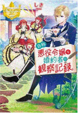 城市漫游者封面